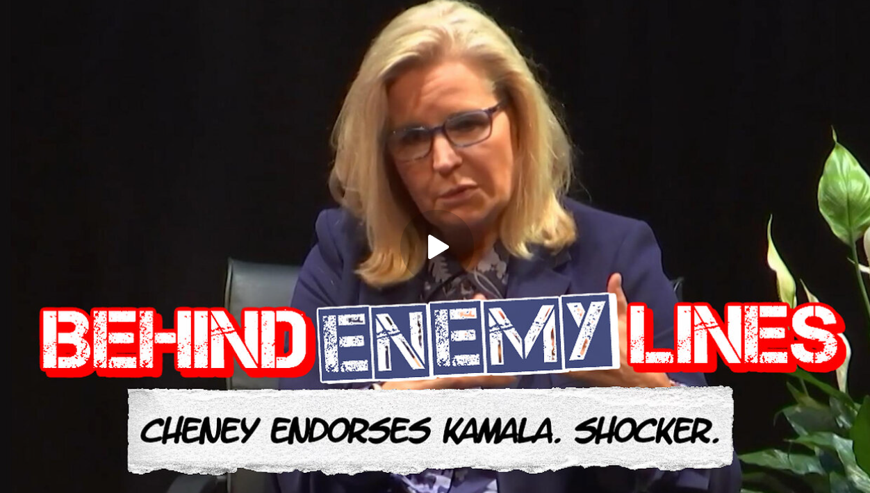 Liz Cheney’s Utterly Meaningless Harris Endorsement Proves She’s A