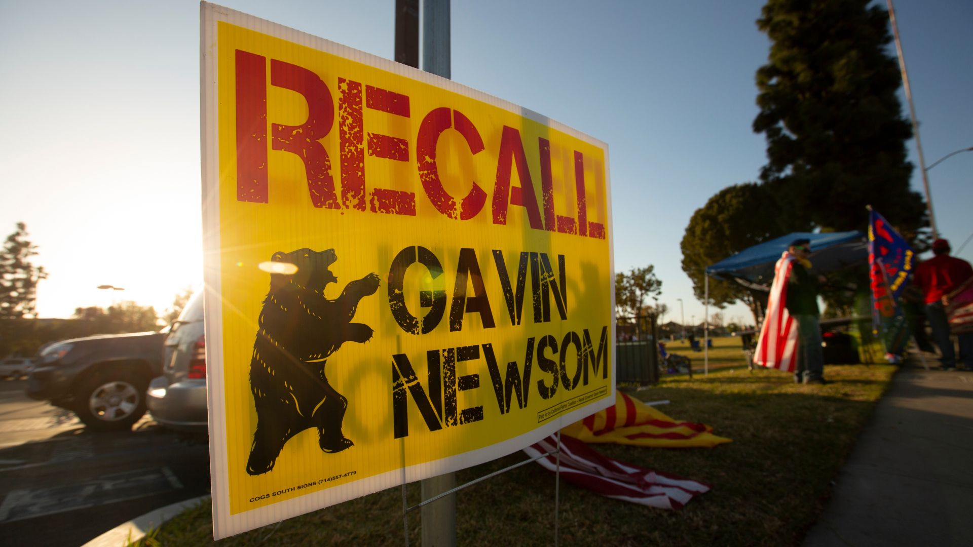 California Woman Busted for Registering Her Dog to Vote Twice